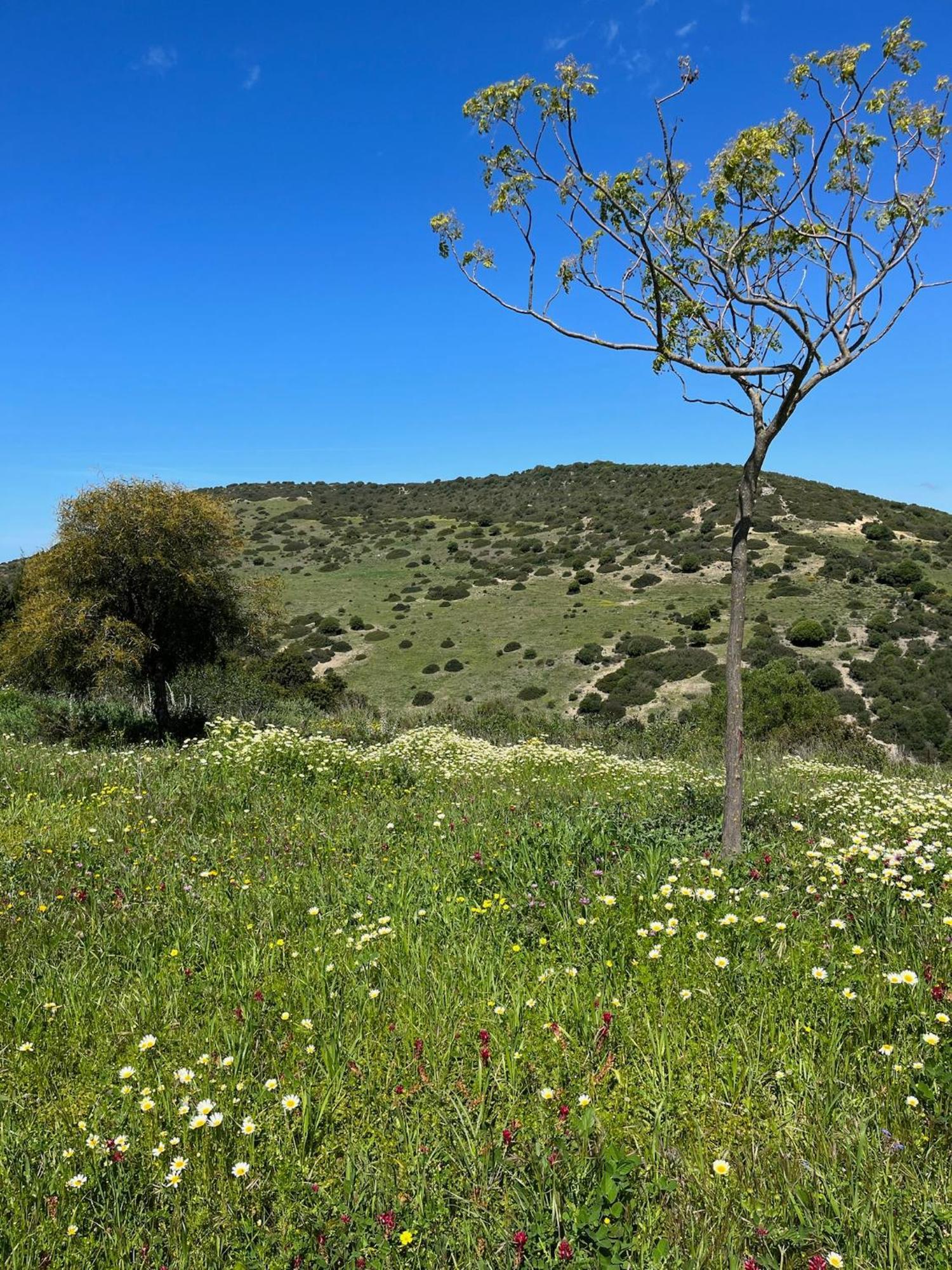 Finca La Vina Вьер де ла Фронтера Экстерьер фото